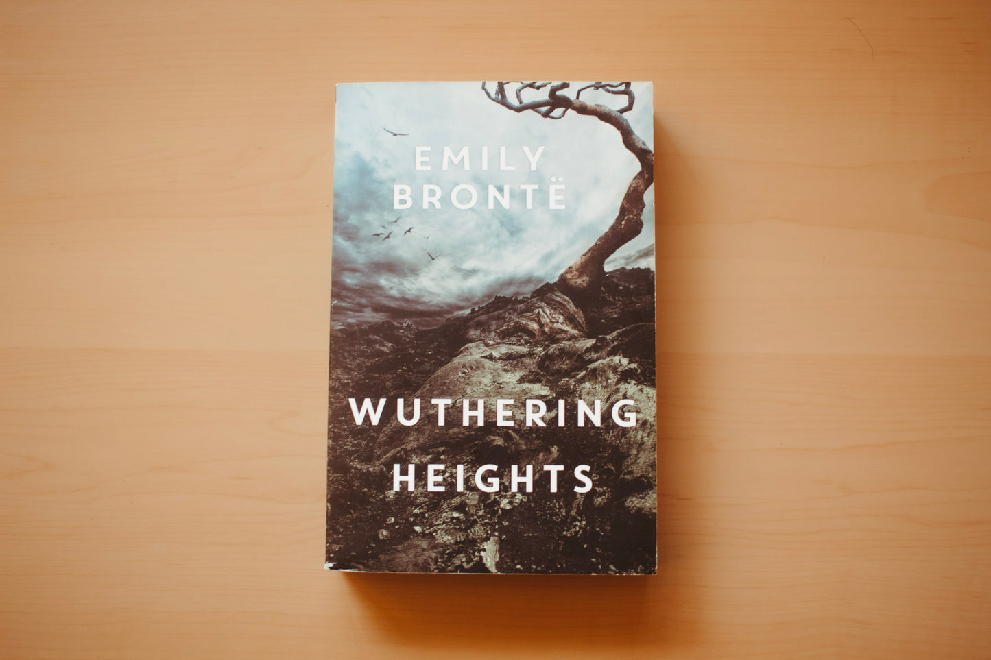 Wuthering Heights by Emily Bronte