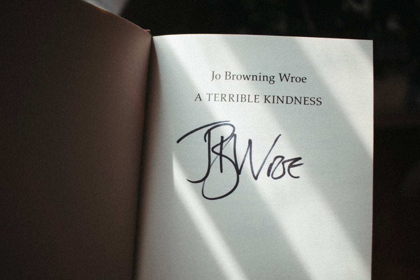 A Terrible Kindness by Jo Browning Wroe