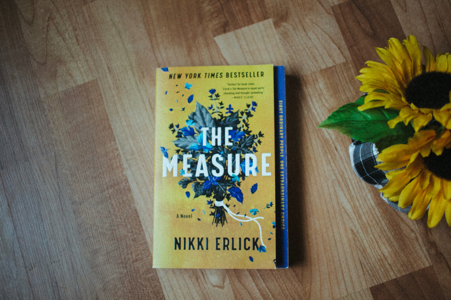 The Measure by Nikki Erlick