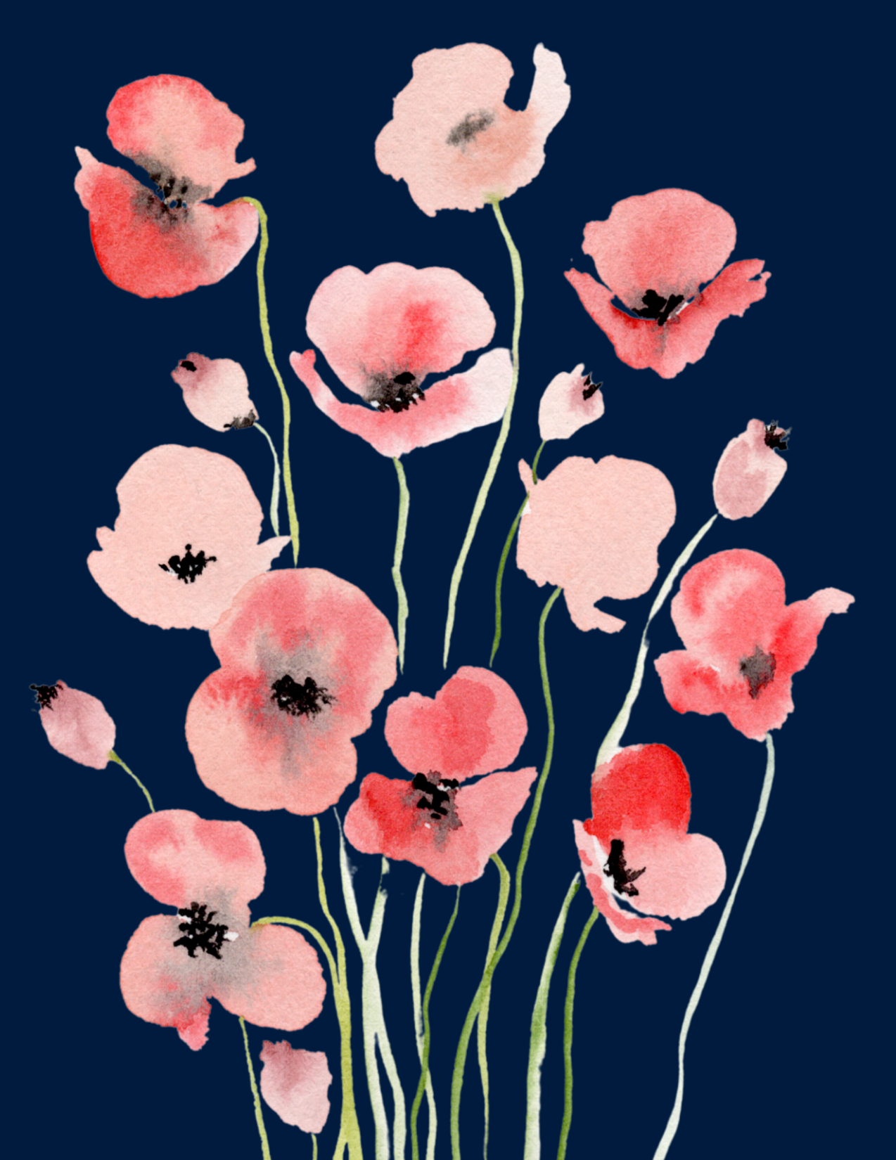 Poppies