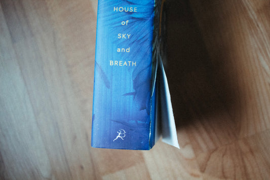 House of Sky and Breath by Sarah J. Maas