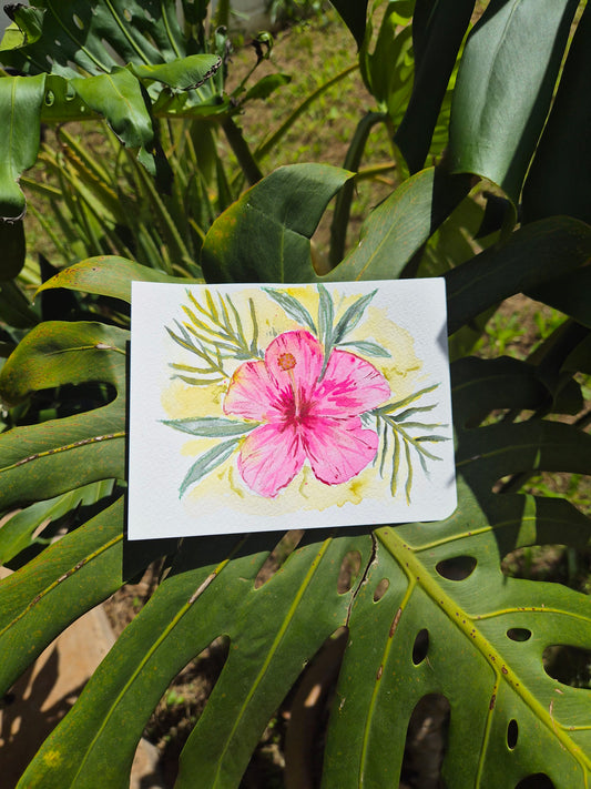Hibiscus