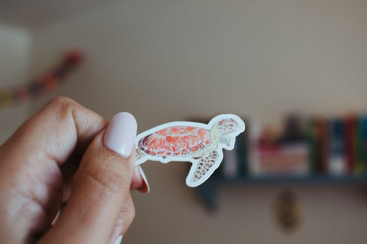 Sea Turtle Sticker