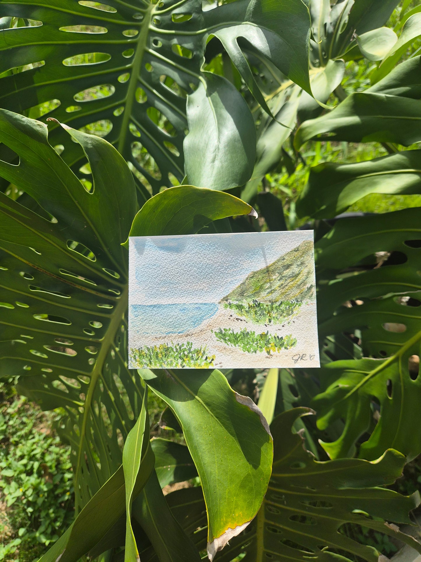 Ka'ena Point Trail Original