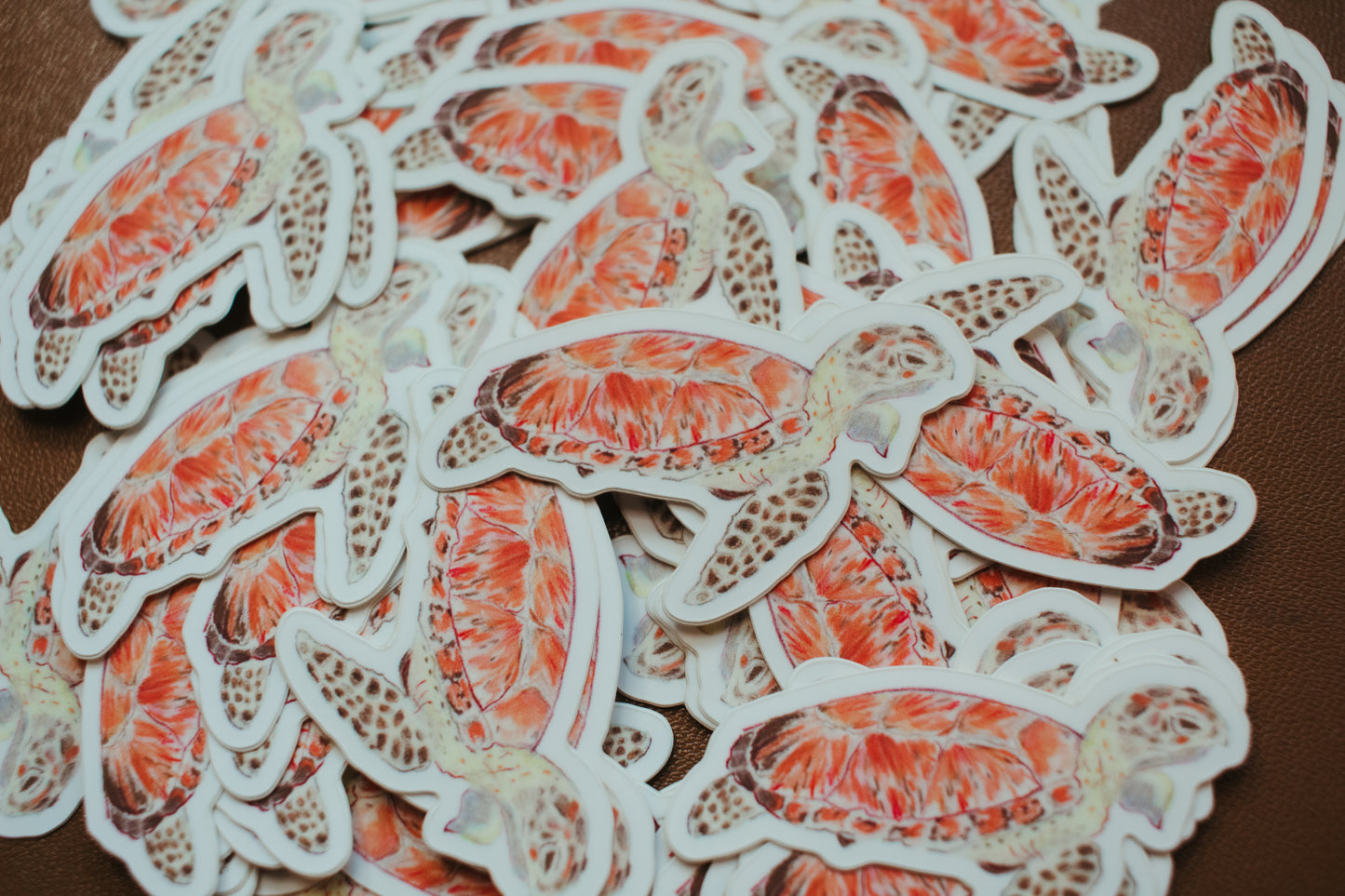 Sea Turtle Sticker